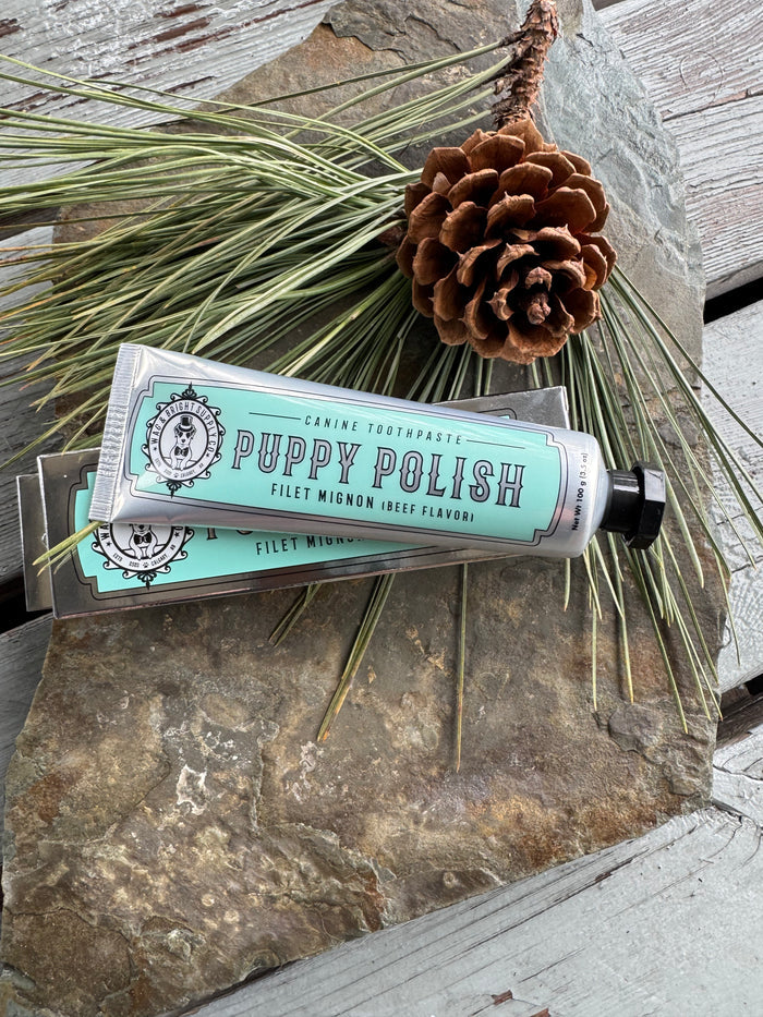 Puppy Polish Toothpaste-Filet Mignon (Beef)
