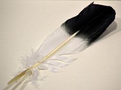 Feather