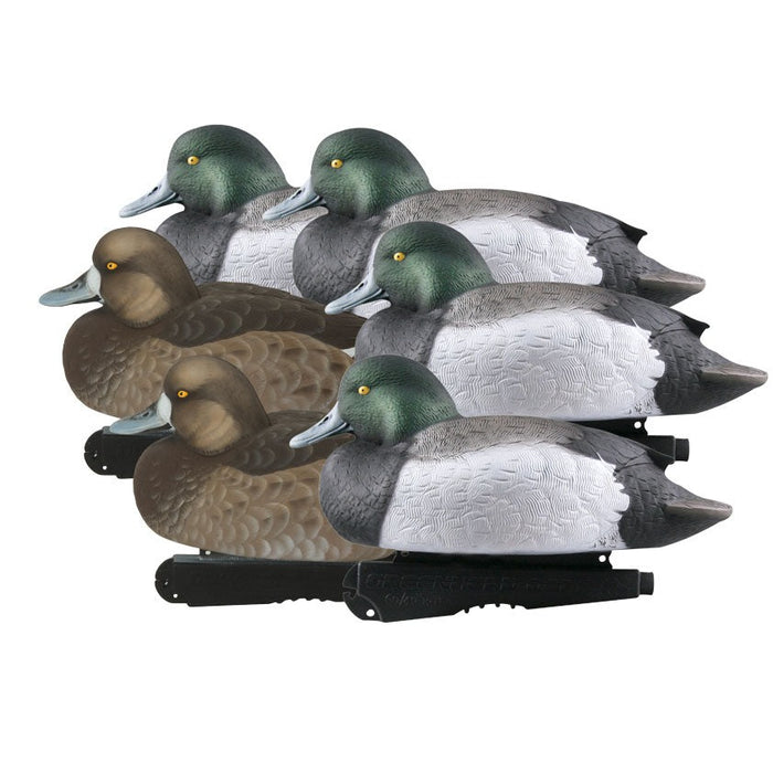 Oversized Blue Bill duck decoys with foam-filled bodies and 60/40 Dura-Keel design for realistic water movement.