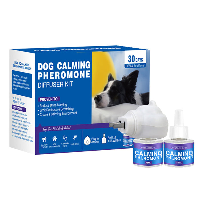 🐶Dog (unscented)