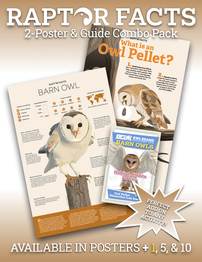 Raptor Facts 2 Poster Combo & 1 Habitat, Habits, & Prey Teacher's Guide