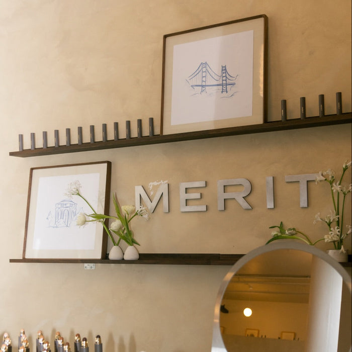 Aluminum Merit letters mounted between shelves on an interior wall.