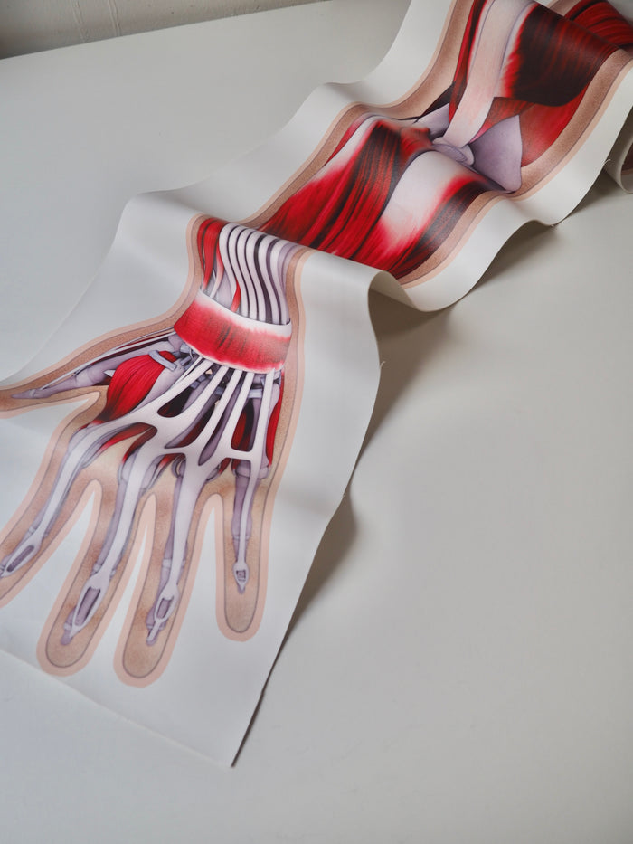 Arm Muscle Printed Panel