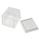 Box: Plastic Small Clear Collector Box. 12 Pack