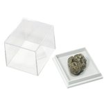 Box: Plastic Small Clear Collector Box. 12 Pack