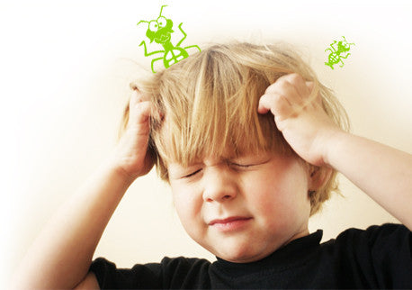 Comb: Head Lice
