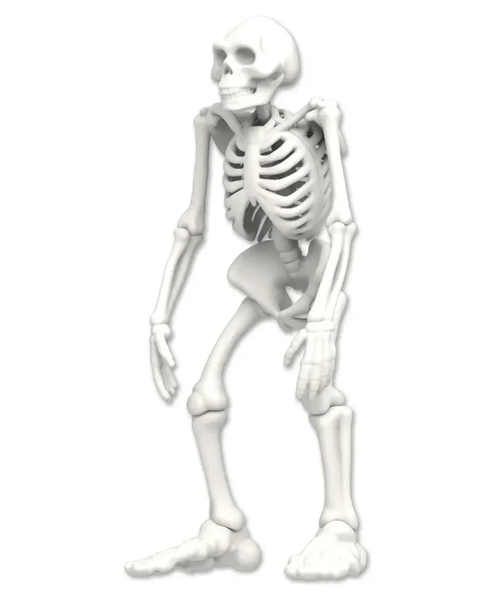 Discover It - Bigfoot Dig educational resource featuring a detailed skeleton model for wildlife education and biology learning.