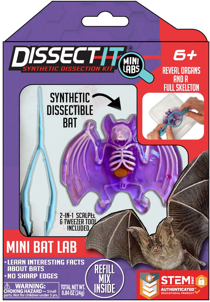 Discover It - Mini Bat Lab with synthetic dissection bat and tools for wildlife education and biology learning.