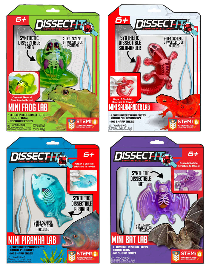 Discover It - Mini Bat Lab and other Dissect-It kits for educational wildlife biology activities.