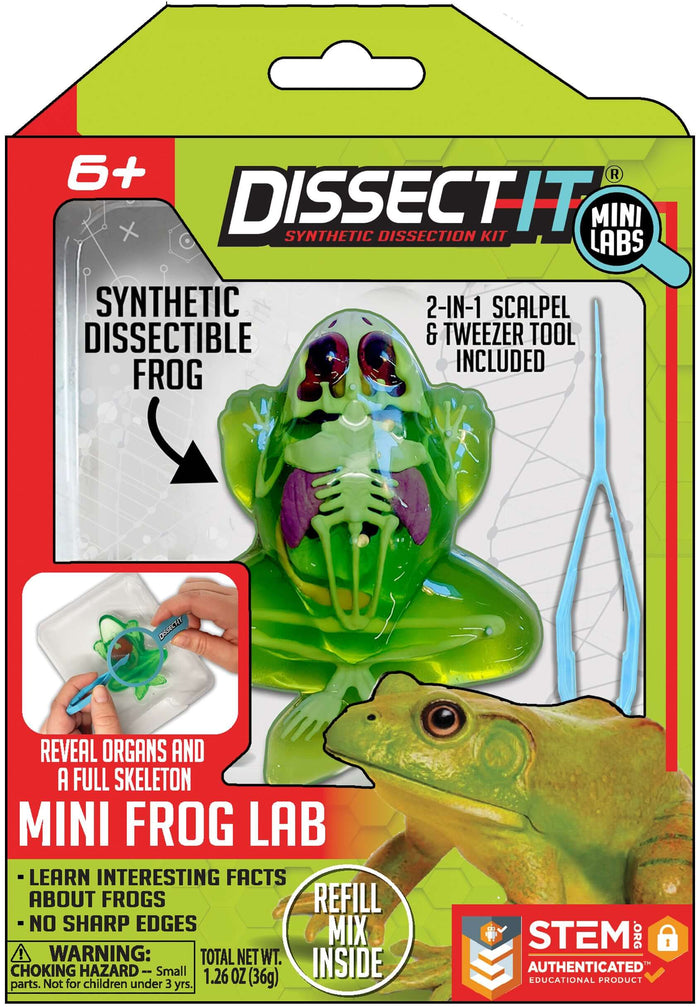 Discover It - Mini Lab Complete Set of Frog, Salamander, Piranha, and Bat! with synthetic dissectible frog in kit.
