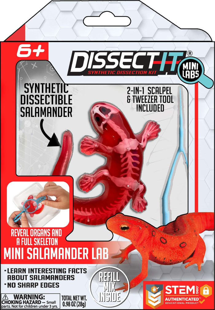 Discover It - Mini Lab Complete Set of Frog, Salamander, Piranha, and Bat! dissection kit with synthetic salamander.