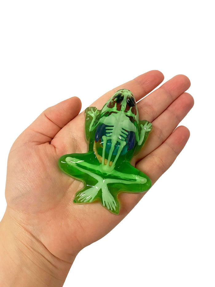 Discover It - Mini Salamander Lab toy in hand, showcasing wildlife education and biology learning.