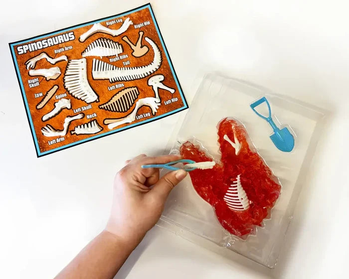 Discover It Dinosaur Dig kit with Spinosaurus gel and dissection tools for wildlife education and biology learning.