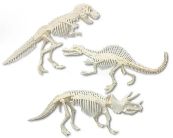 Discover It Dinosaur Dig dinosaur skeleton models for educational wildlife education and biology learning.