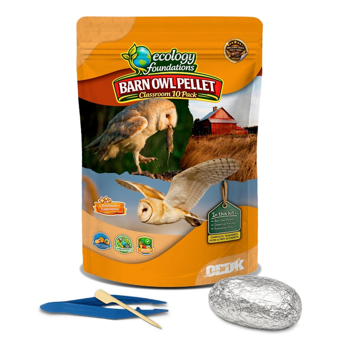 Ecology Foundations Premium Classroom Essentials for Teaching 10 Students