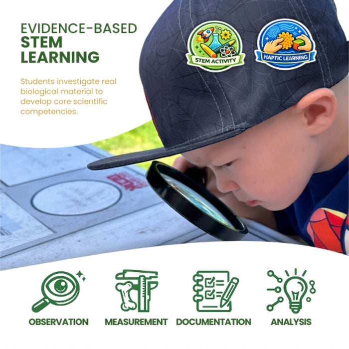 Ecology Foundations Premium Classroom Essentials  for Teaching 5 Students