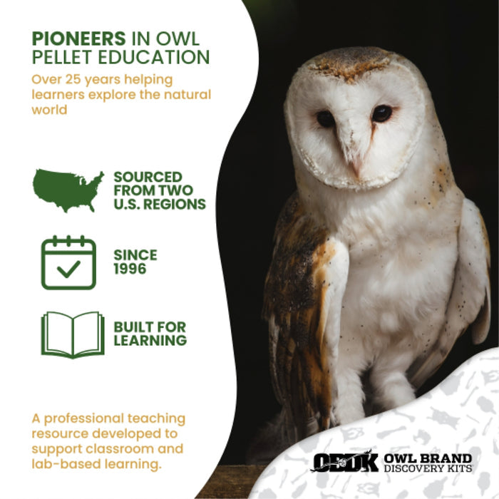 Ecology Foundations Premium Classroom Essentials  for Teaching 5 Students