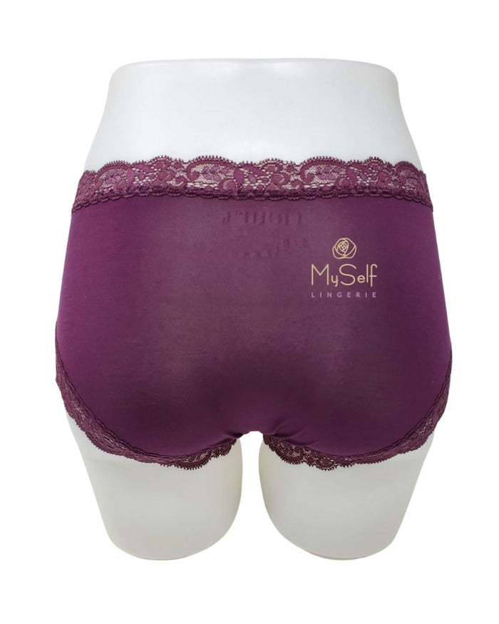 Fleur't 602 Modal Hi Waisted Brief myselflingerie.com