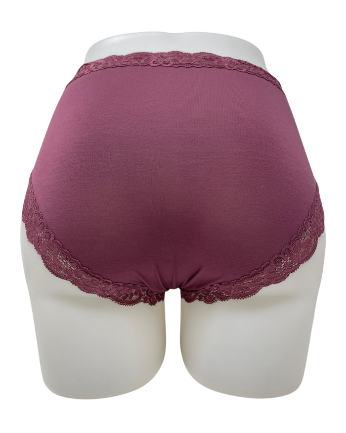 Fleur't 602 Wild Ginger Iconic Modal Lace Hi Waisted Brief Myselflingerie.com