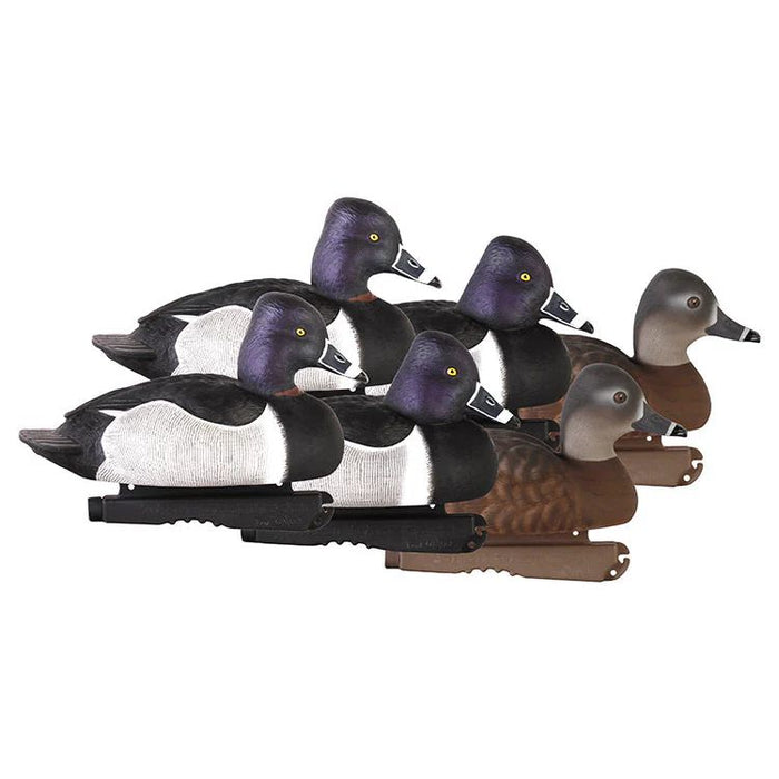 GHG Pro-Grade foam-filled ring neck duck decoys with lifelike feather detail and 60/40 Dura-Keel design.