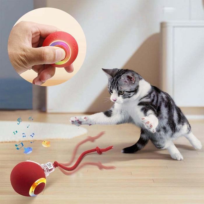 Interactive Rechargeable Ball Cat & Dog Toy
