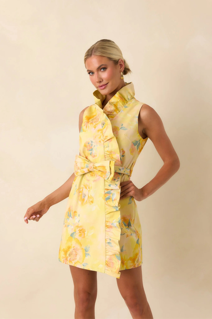 Lilly Mini Dress - Pressed Petals (Small) - FINAL SALE
