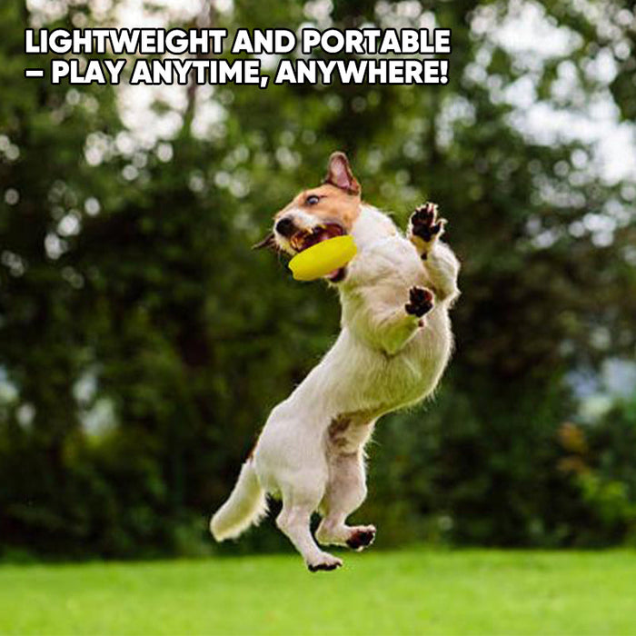 Mini Flying Disc