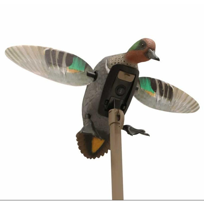 MOJO Elite Series Green Wing Teal motion decoy with realistic feather detail and magnetically attached wings on a pole.
