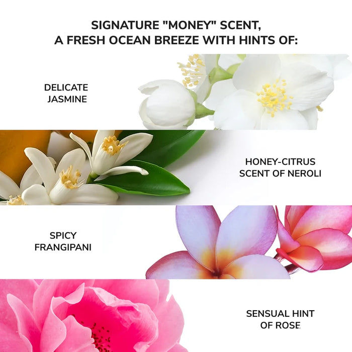 Money Laundering Hydrating Shampoo + Glossing Conditioner Kit
