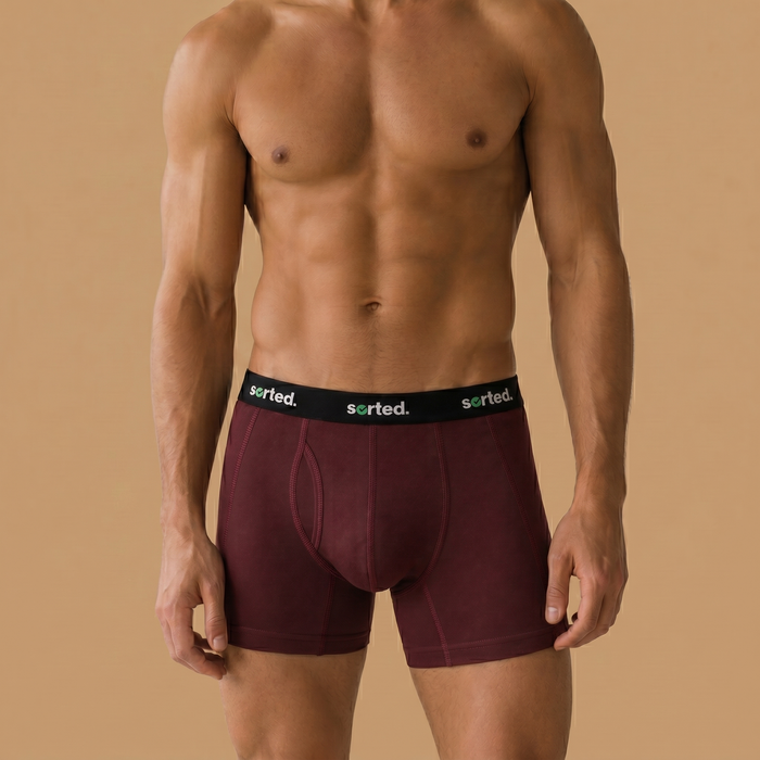 Organic Cotton Boxer Briefs - Huckleberry