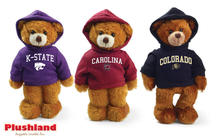 San DiegoBear with hoodie