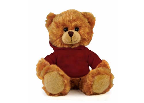 San DiegoBear with hoodie
