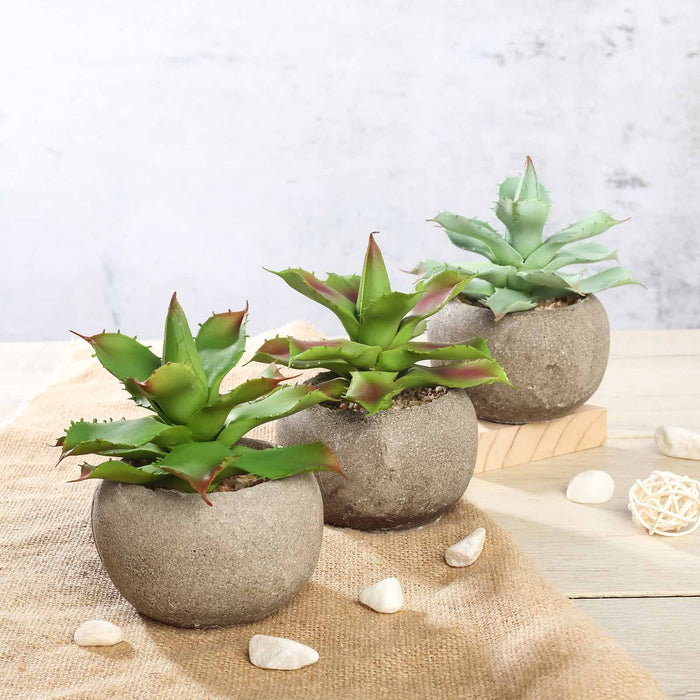 Set of 3 | Assorted Fake Succulents in Pot | 5" Assorted Aloe Varietal Artificial Plants with Pots