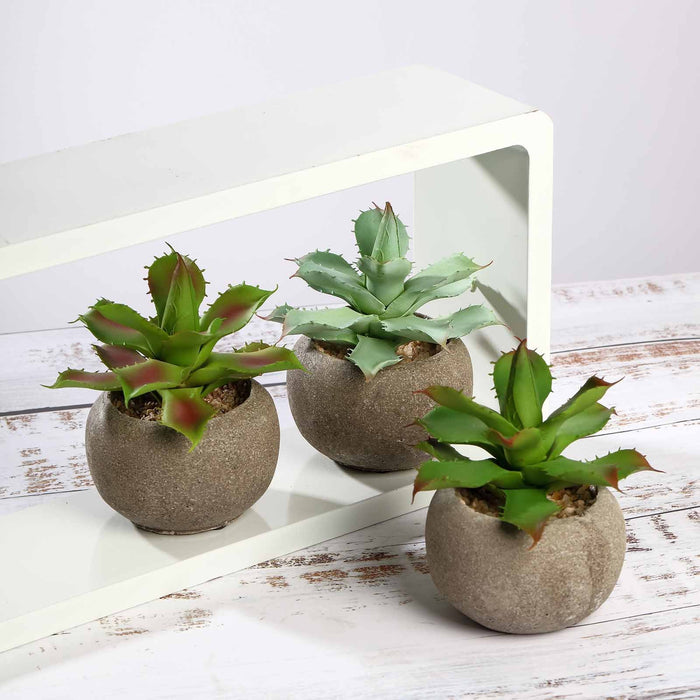 Set of 3 | 5" Assorted Aloe Varietal Artificial Plants with Pots