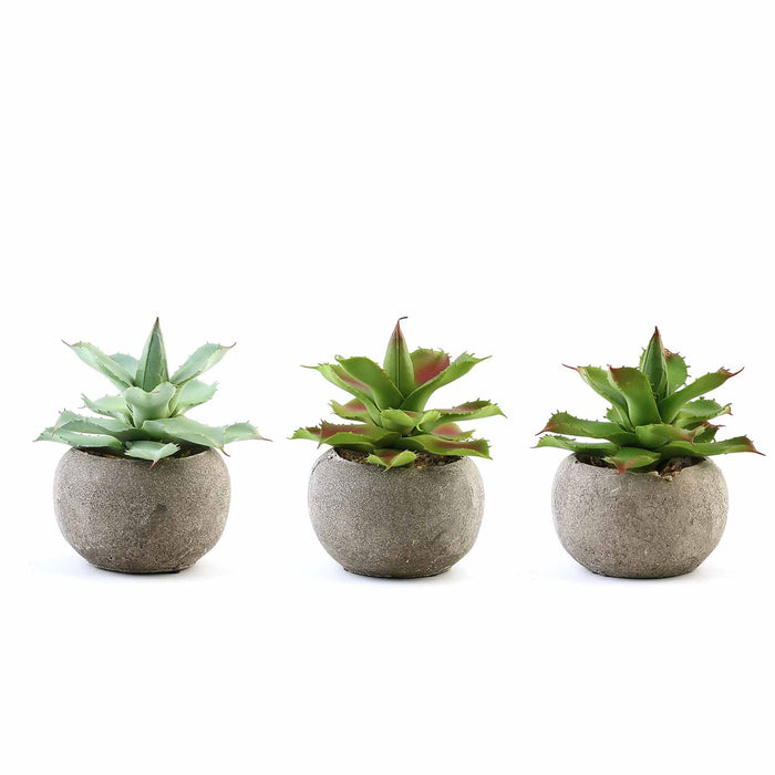 Set of 3 | 5" Assorted Aloe Varietal Artificial Plants with Pots