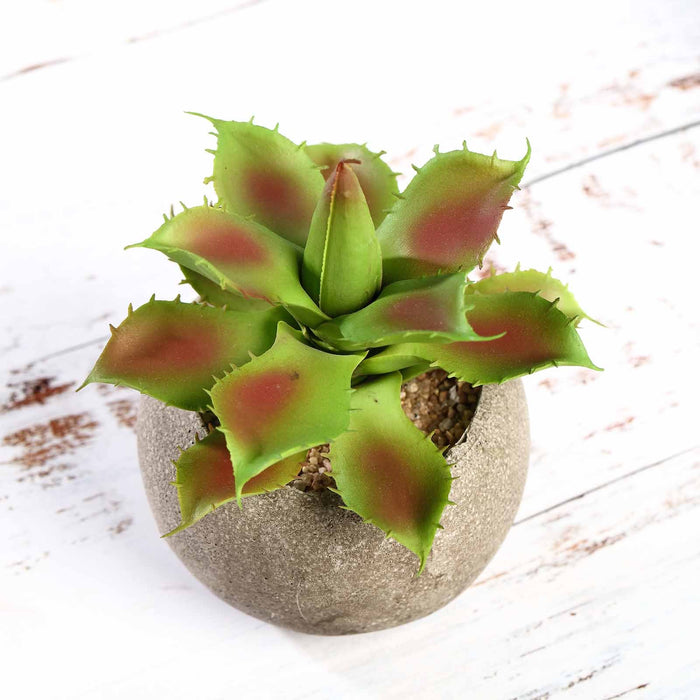 Set of 3 | 5" Assorted Aloe Varietal Artificial Plants with Pots