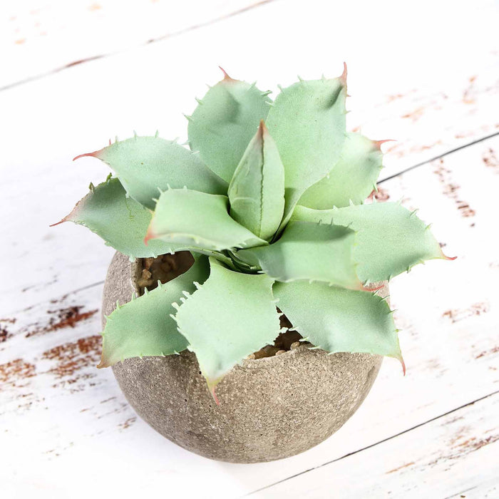 Set of 3 | 5" Assorted Aloe Varietal Artificial Plants with Pots