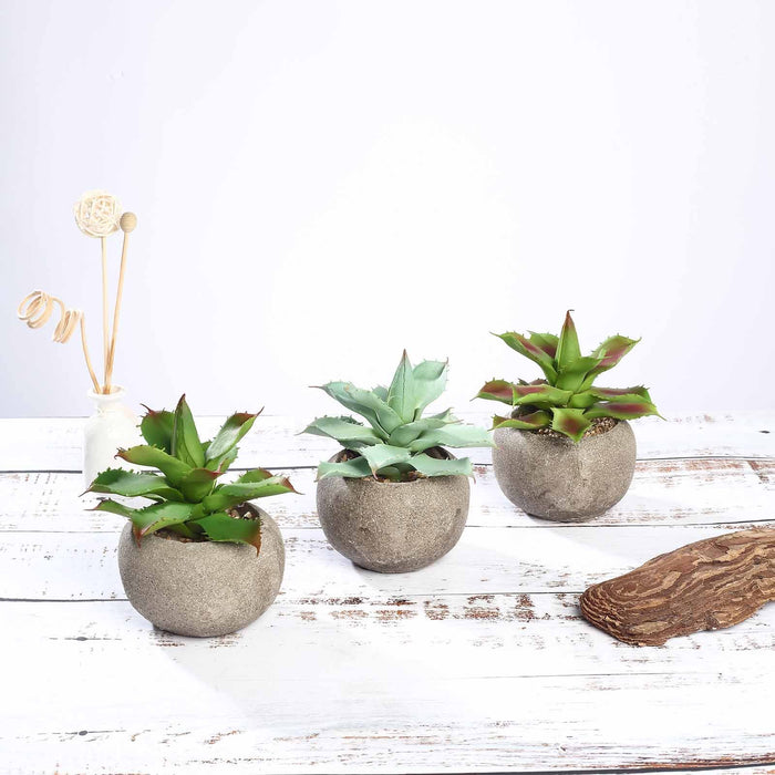 Set of 3 | 5" Assorted Aloe Varietal Artificial Plants with Pots