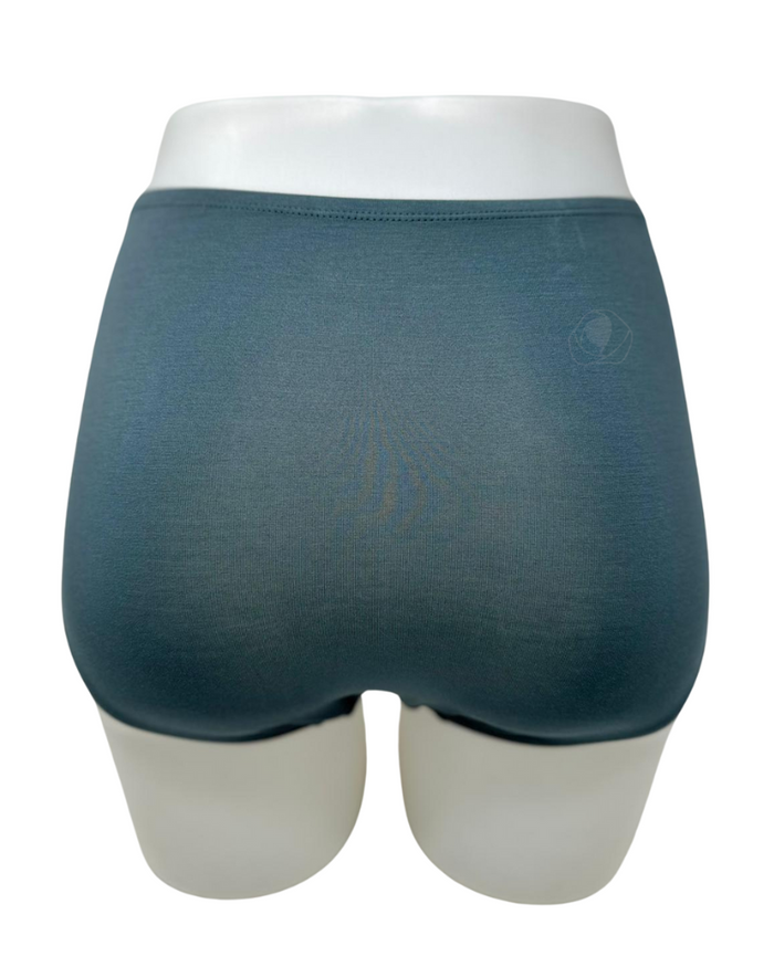 SHE S301PLS Lichen Modal Briefs with Elastic Waist Plus Sizes 3 Pack myselflingerie.com