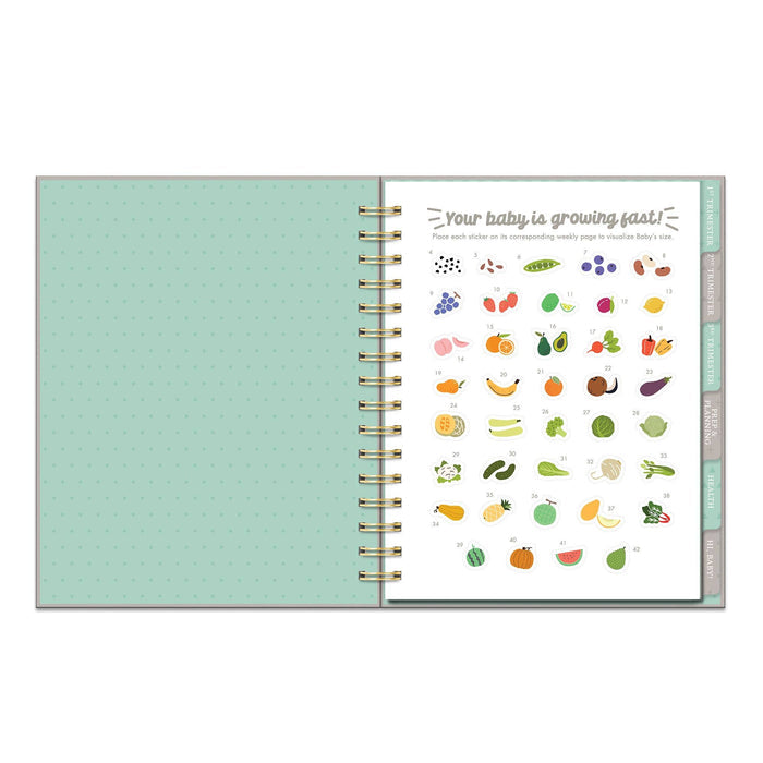 Studio Oh! - Countdown to Baby Undated Pregnancy Planner