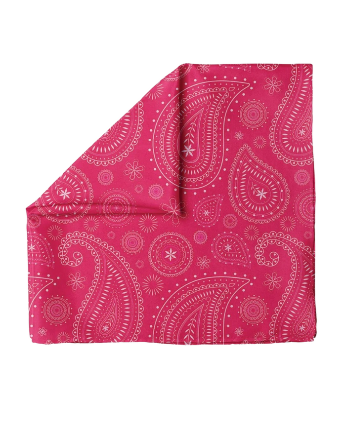 Tie Ur Knot Imperial Paisley Adjustable Pre-Tied Bandanna with Full Non Slip Myselflingerie.com