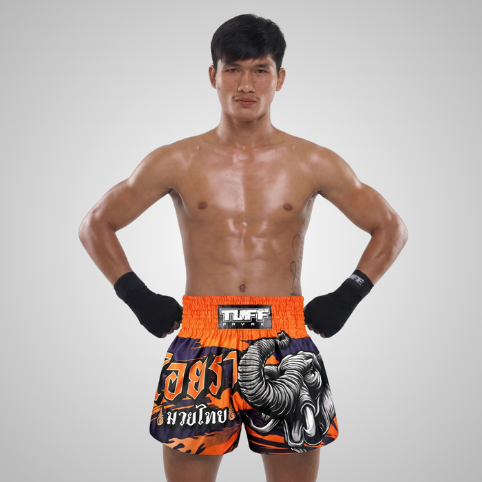 TUFFPAYAK Muay Thai Shorts Boxing Trunks Traditional Style (TPY-MS004-PUR)